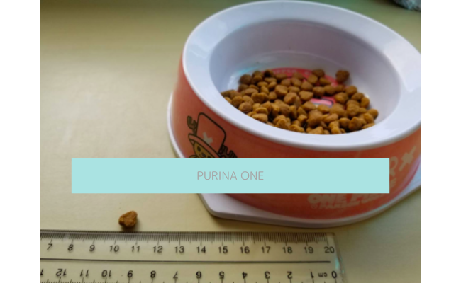 purina-one6