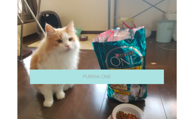 purina-one7
