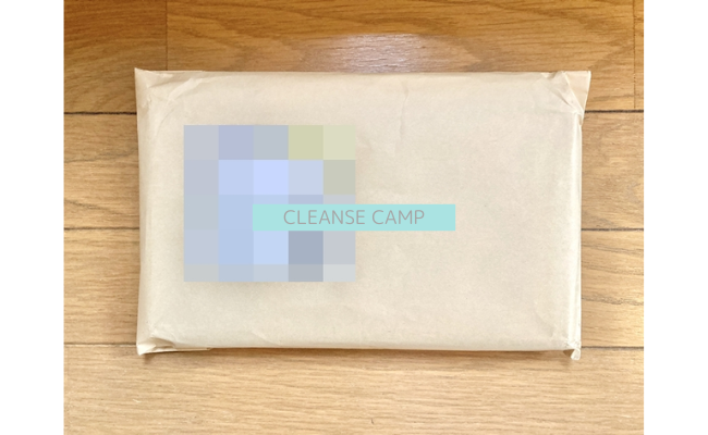 cleansecamp1