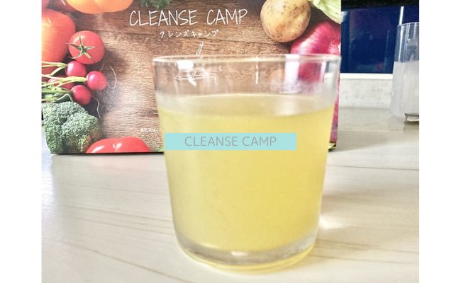 cleansecamp12