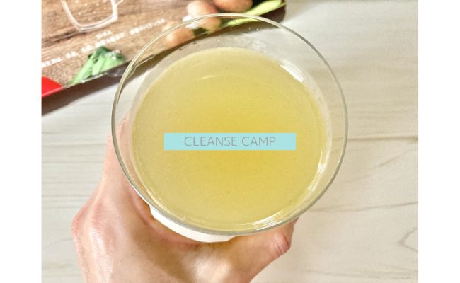 cleansecamp13