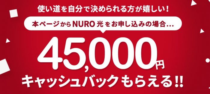 NURO光 公式サイトのキャプチャ